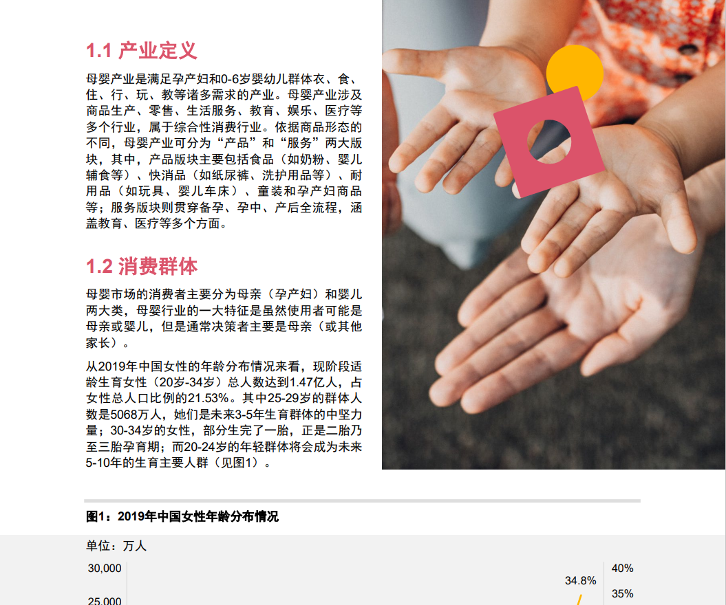 母婴产业发展蓝皮书(图5)